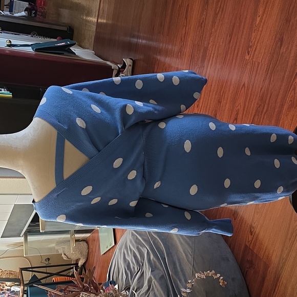 Blue Polka Dot Sweater Dress - Picture 2 of 3